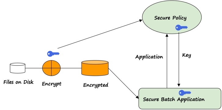 Authorized program or proprietary models on Batch processing of data